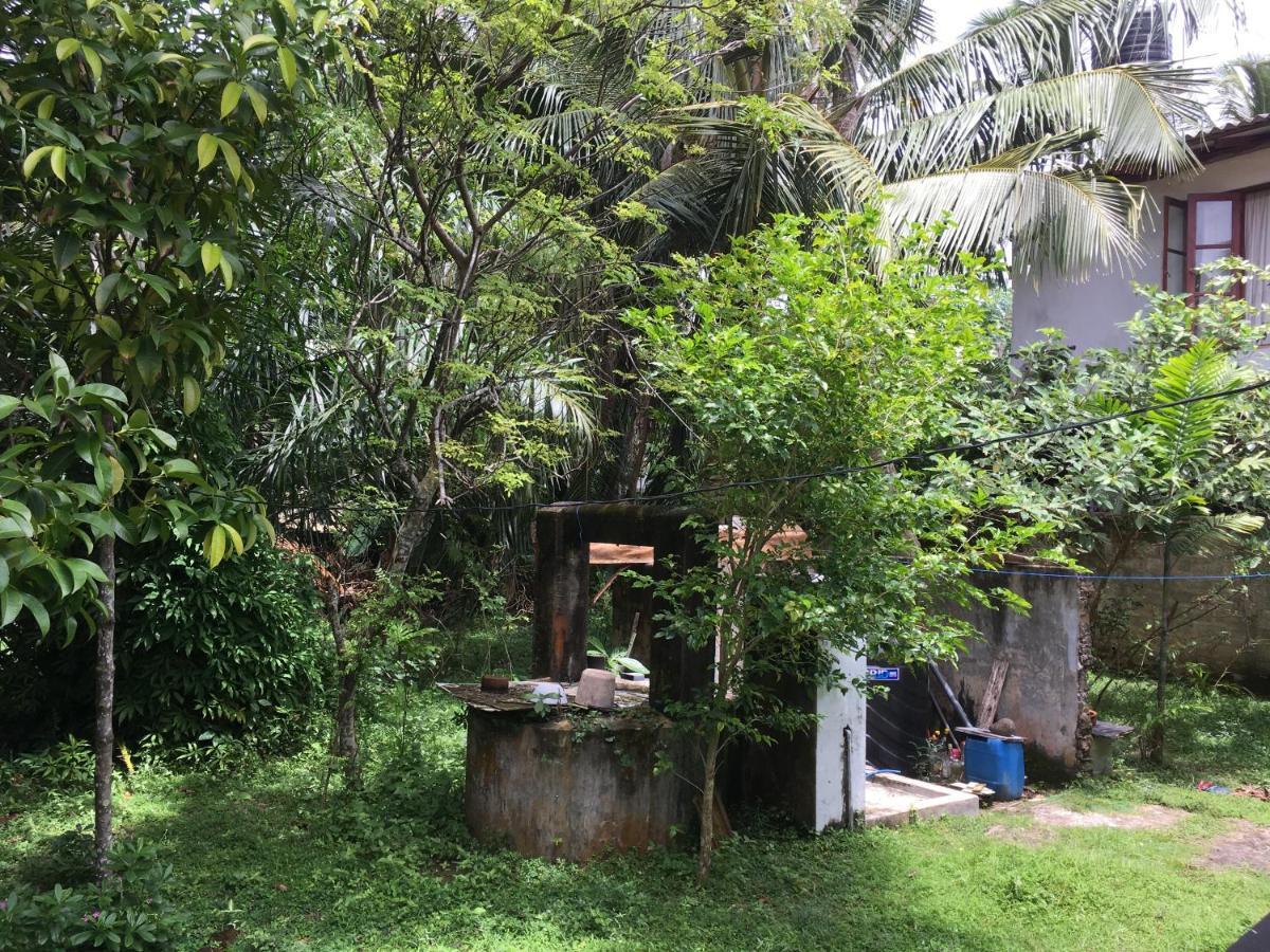 Villa Wellington à Hikkaduwa Extérieur photo